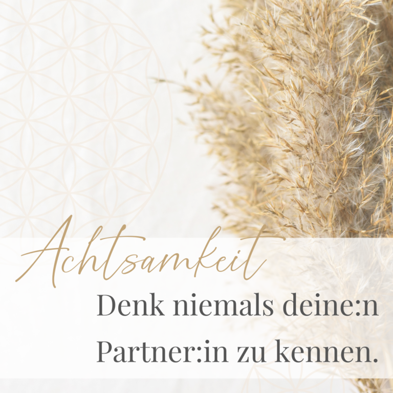überschrift achtsamkeit mit pampasgras und logo symbol abbildung im hintergrund